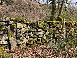 A phantom gate in a dry stone wall